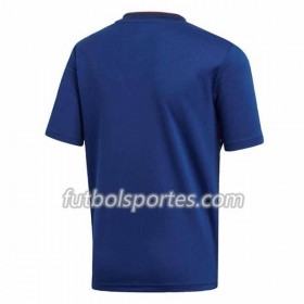 Camisetas Japón Primera Equipacion 2018